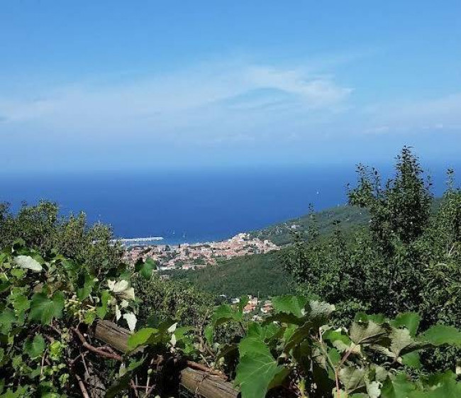 Vai alla scheda: Casa Semindipendente Vendita Marciana