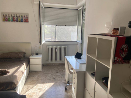 Vai alla scheda: Porzione di casa Affitto Castellanza